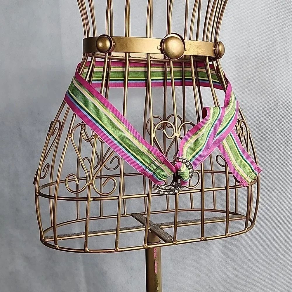 Vintage Striped Preppy Belt with Double Silver tone Metal Rhinestone Buckles